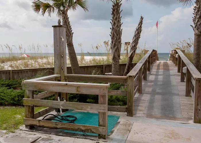 Palm 23a By Collection Gulf Shores