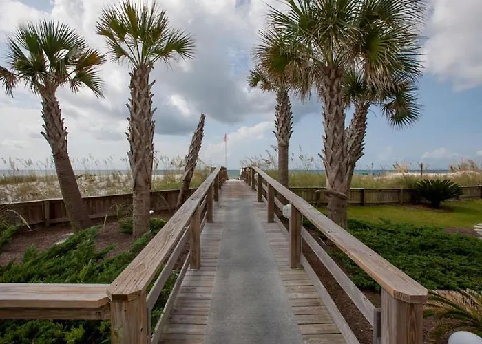 Palm 23a By Collection * Gulf Shores